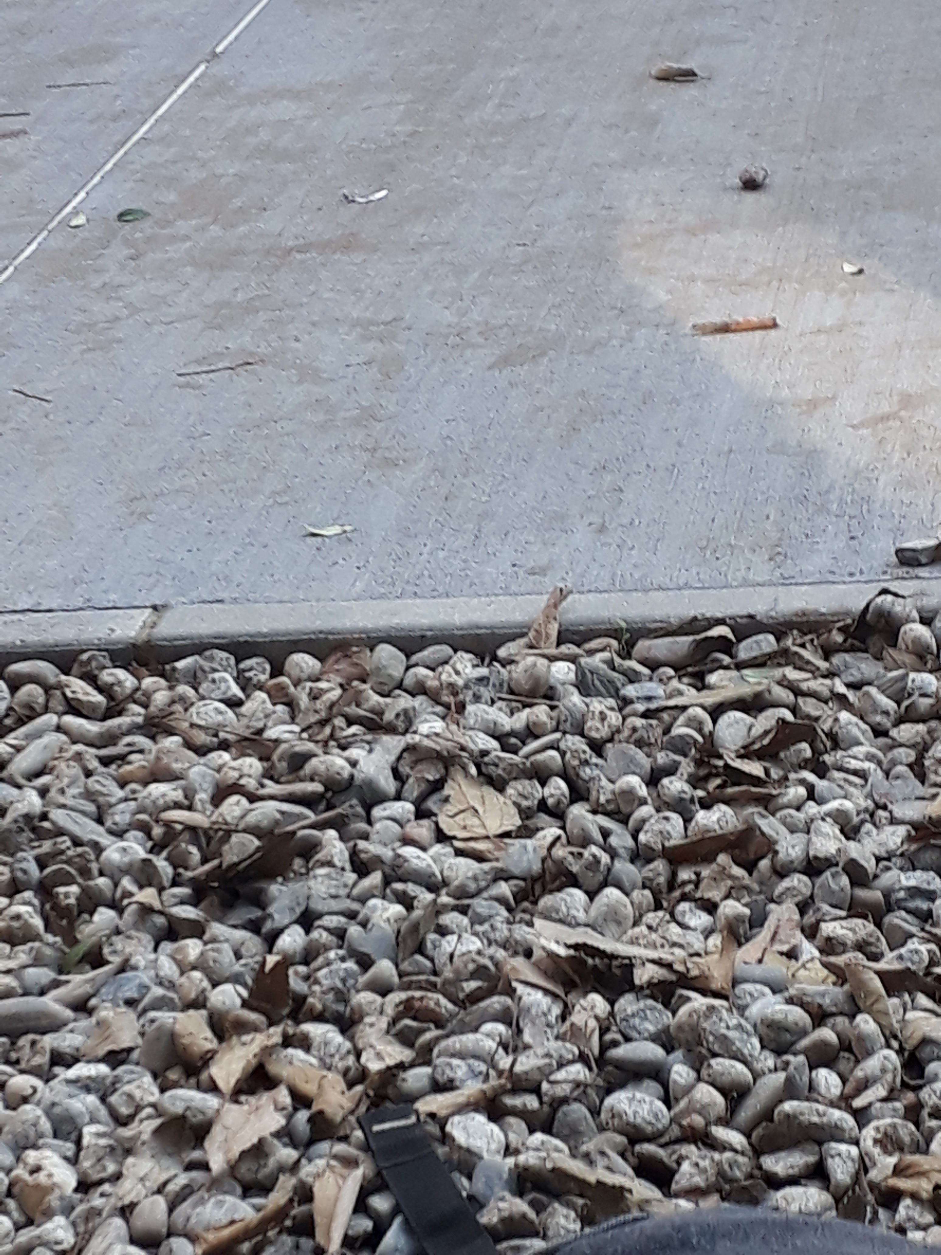 Photo n° 31 de l'avis de William.m fait le 11/12/2018 à 12:09