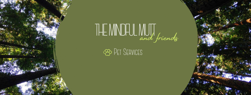 The Mindful Mutt and Friends