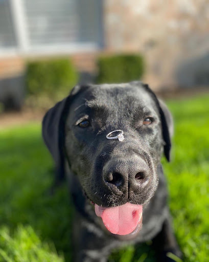 Jewelry Store «LaRog Brothers Jewelers», reviews and photos, 9225 SW Hall Blvd, Tigard, OR 97223, USA