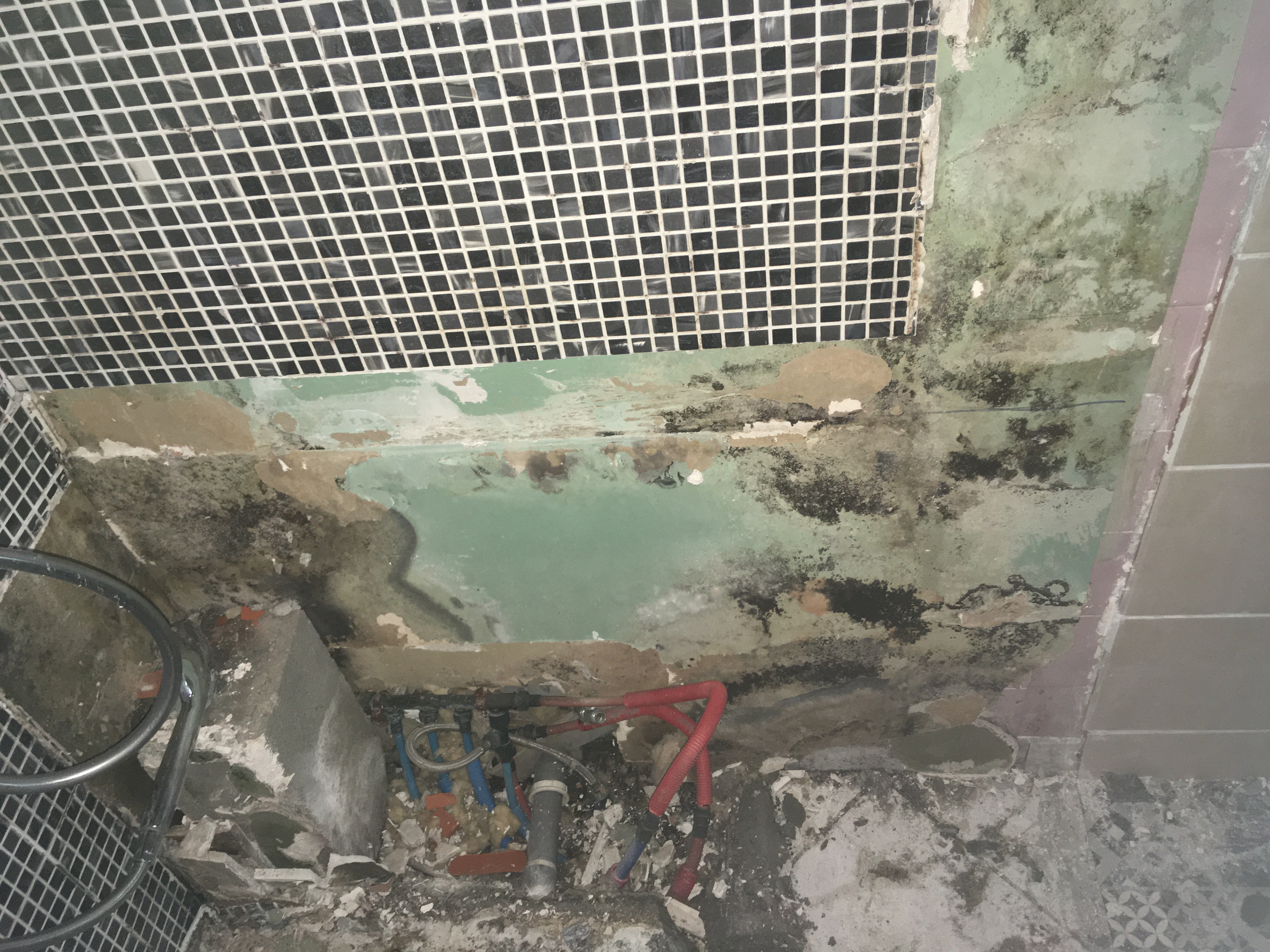 Photo n° 2 de l'avis de Aymerick.e fait le 14/12/2023 à 18:53
