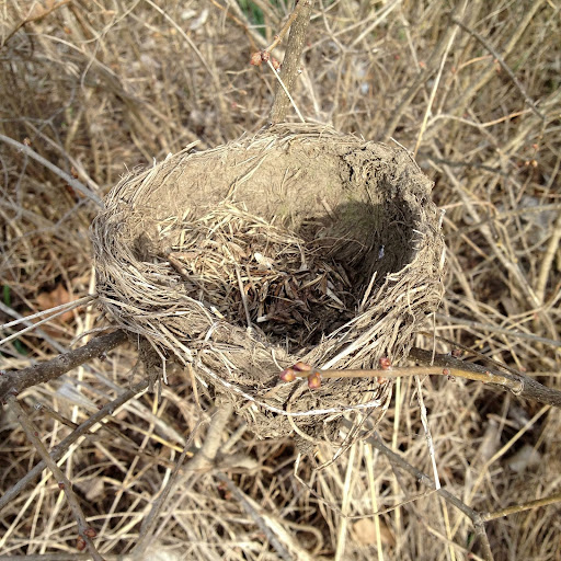 Park «Water Works Park», reviews and photos, 2201 George Flagg Pkwy, Des Moines, IA 50321, USA