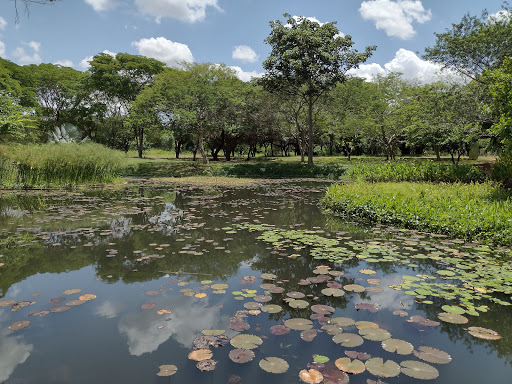 Jardín Botánico de Maracaibo