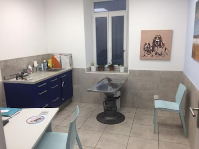 Scp De Vétérinaires Filliat Et Ponsaille à Toulon