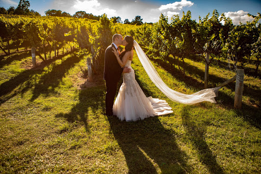 Vineyard «Frogtown Cellars», reviews and photos, 700 Ridge Point Dr, Dahlonega, GA 30533, USA