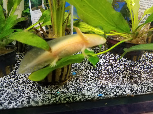 Pet Supply Store «Petco Animal Supplies», reviews and photos, 10 Sylvan St, Peabody, MA 01960, USA