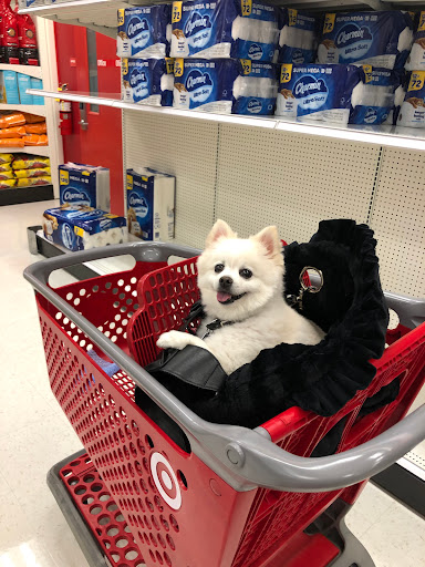 Department Store «Target», reviews and photos, 975 Rockland Rd, Lake Bluff, IL 60044, USA