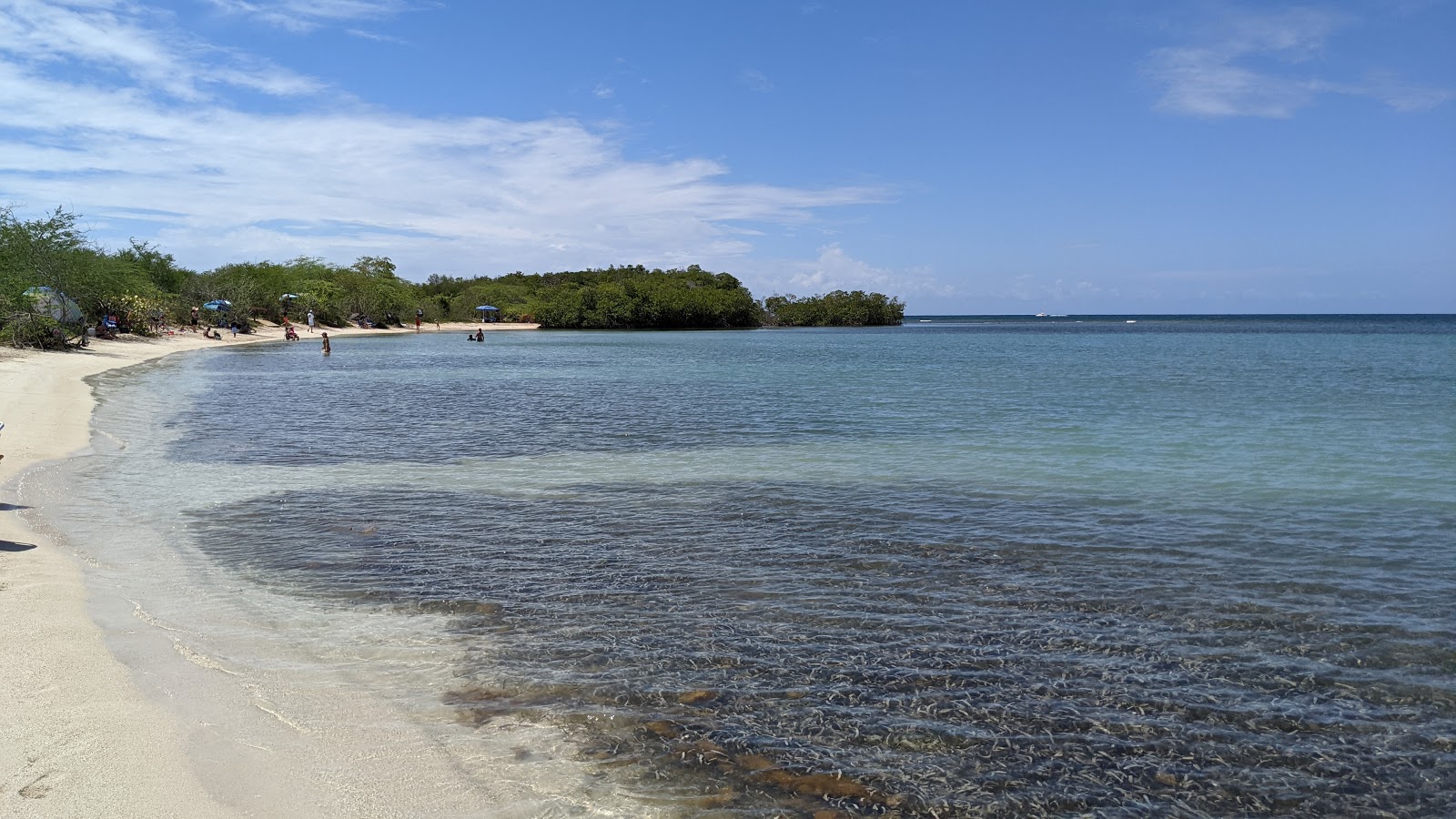 Foto van Playa La Jungla met hoog niveau van netheid