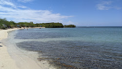 Playa La Jungla'in fotoğrafı vahşi alan