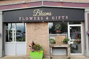 Blooms Flowers and Gifts image