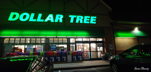 Dollar Store «Dollar Tree», reviews and photos, 250 Jericho Turnpike #80, Floral Park, NY 11001, USA