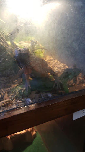 Pet Store «Zookeeper Exotics», reviews and photos, 9012 Research Blvd, Austin, TX 78758, USA
