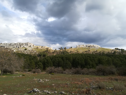 CASAS RURALES EL OLMO