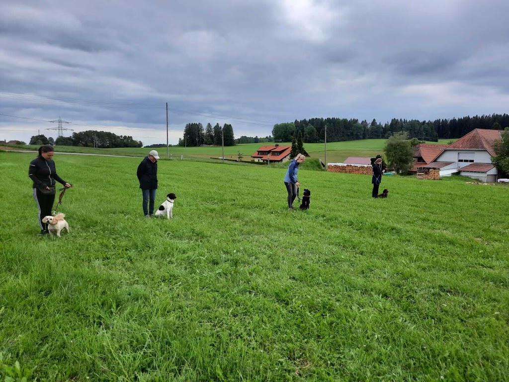 Hundeschule Bolisch