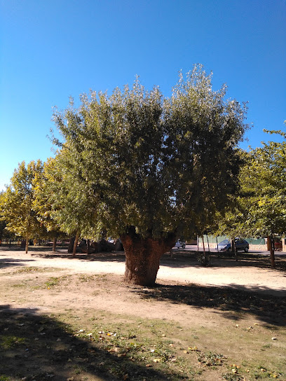 Parque – Parque El Peralejo – Alpedrete