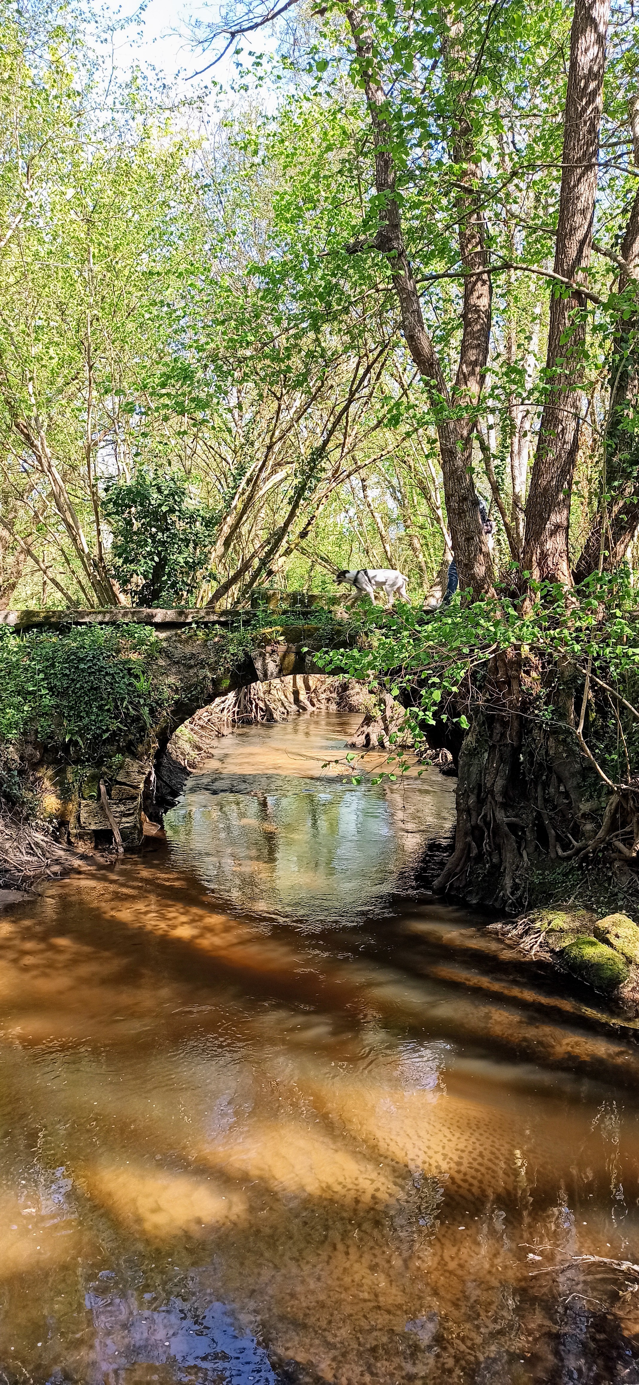 Photo n° 3 de l'avis de Sylvia.U fait le 05/04/2021 à 18:27
