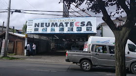 Multineumaticos Neumatecsa