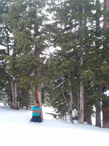 Plumber «Evergreen Septic Pumping», reviews and photos, 322 Quarter Cir Ln, Evergreen, CO 80439, USA