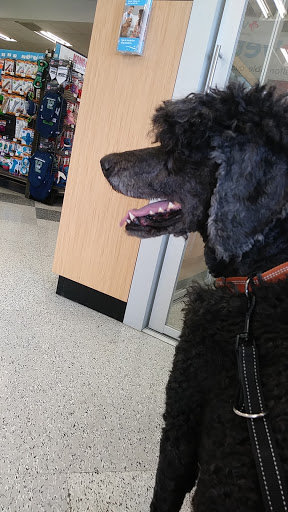 Pet Supply Store «Petco Animal Supplies», reviews and photos, 1203 SE Everett Mall Way f, Everett, WA 98208, USA