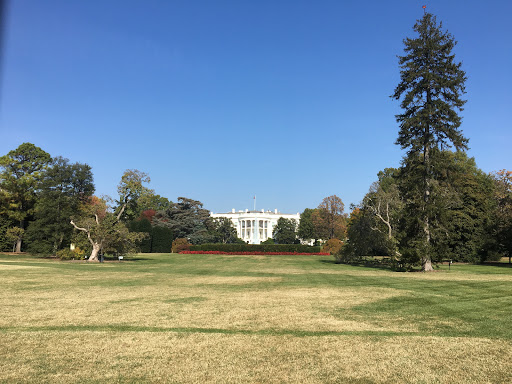 Federal Government Office «The White House», reviews and photos, 1600 Pennsylvania Ave NW, Washington, DC 20500, USA