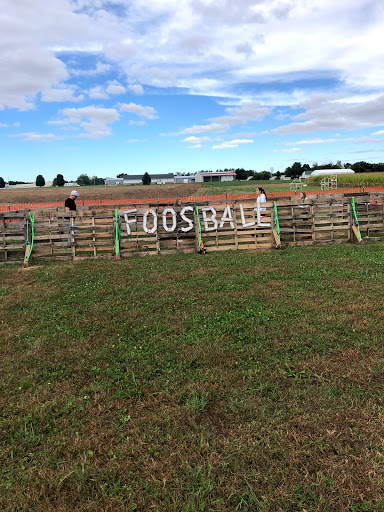 Tourist Attraction «Shipshewana Corn Maze», reviews and photos, 505 Morton St, Shipshewana, IN 46565, USA