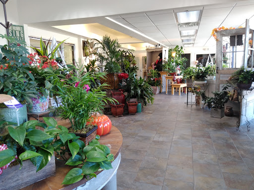 Florist «1-800-FlowersDallas», reviews and photos, 3380 Belt Line Rd, Dallas, TX 75234, USA