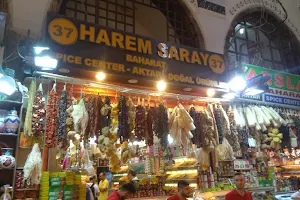 Harem Saray image