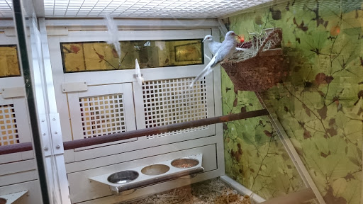 Pet Supply Store «PetSmart», reviews and photos, 1125 Hover St, Longmont, CO 80501, USA