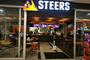 Steers image