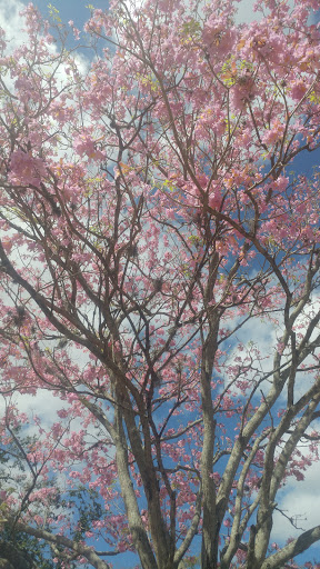 Gift Shop «Ten Thousand Villages Winter Park», reviews and photos, 329 N Park Ave #102, Winter Park, FL 32789, USA