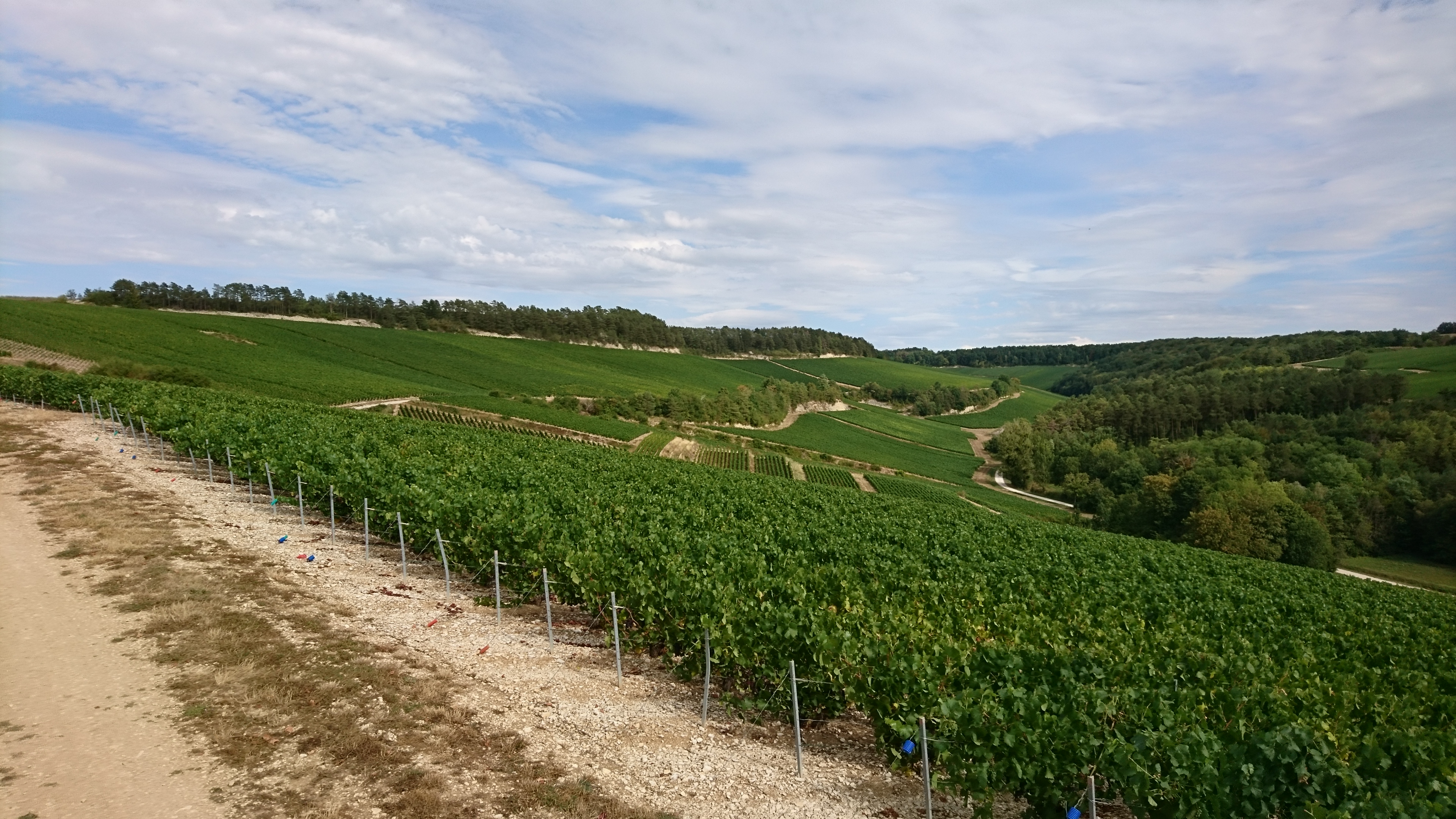 Photo n° 2 de l'avis de Rom.o fait le 28/08/2020 à 15:12