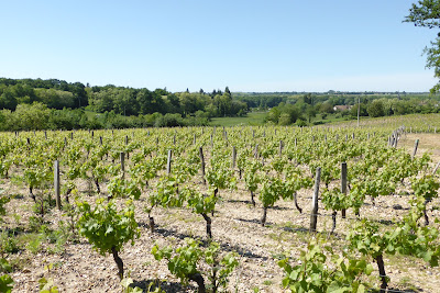 Billereau Dominique Clos des Cortillaux à Ousson-sur-Loire
