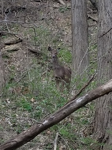 Park «Legion Disc Golf Course», reviews and photos, Boyson Trail, Marion, IA 52302, USA