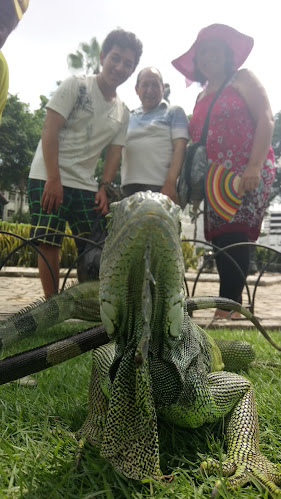 Parqueadero Las Iguanas - Servicio de transporte