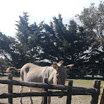 Photo n° 3 de l'avis de Lea.a fait le 01/09/2020 à 13:27 pour Maison de l'Âne à Beauvoir-sur-Mer