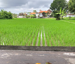 The Tropical Ants photo