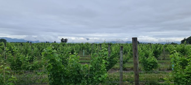168 Redwood Road, Appleby 7081, New Zealand