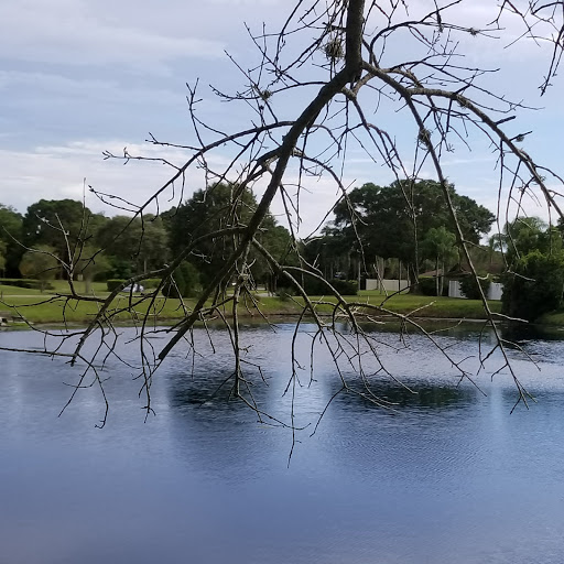 Golf Course «Countryside Country Club», reviews and photos, 3001 Countryside Blvd, Clearwater, FL 33761, USA