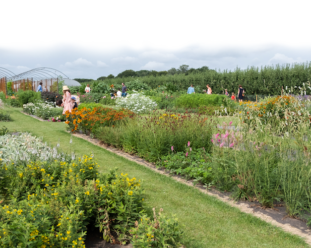 Fleurderij bloemenplukveld