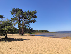 Plage du lac de Sanguinet'in fotoğrafı çok temiz temizlik seviyesi ile