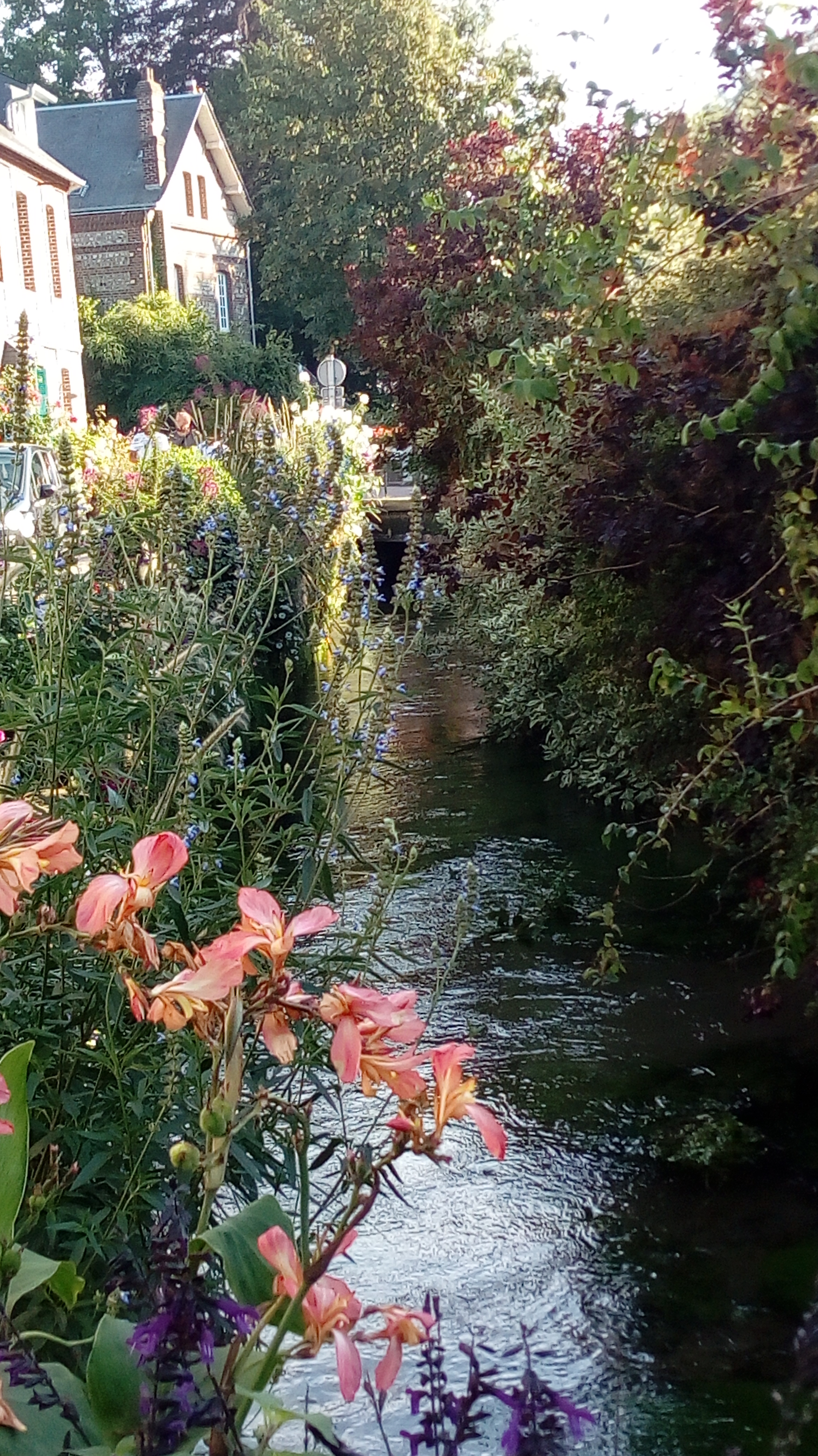 Photo n° 1 de l'avis de Gwen.e fait le 05/10/2019 à 23:47