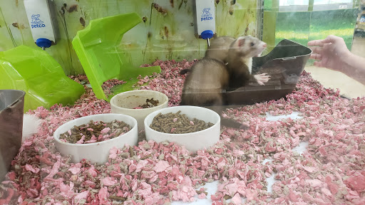 Pet Supply Store «Petco Animal Supplies», reviews and photos, 5975 20th St, Vero Beach, FL 32966, USA