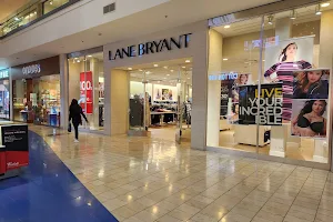 Lane Bryant image