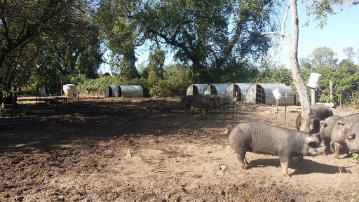 Winery «Willow Creek Winery and Farm», reviews and photos, 160-168 Stevens St, West Cape May, NJ 08204, USA