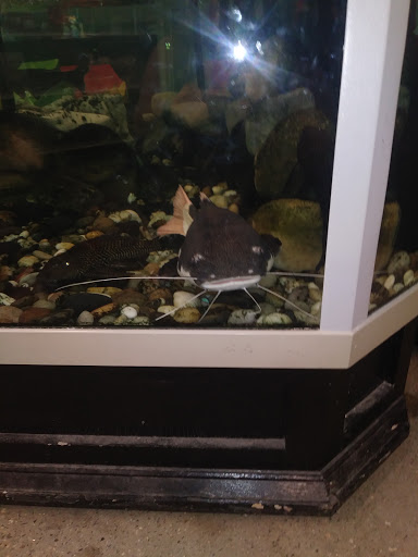 Pet Supply Store «Pet Express», reviews and photos, 180 Commercial St, Lynn, MA 01905, USA