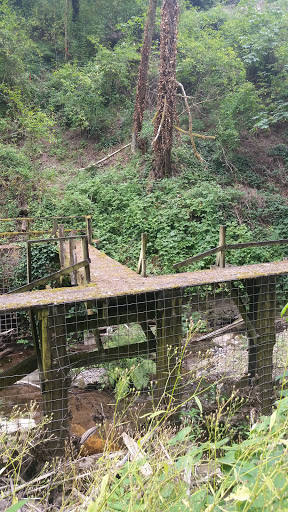 Park «MacLeay Park Entrance», reviews and photos, 2960 NW Upshur St, Portland, OR 97210, USA