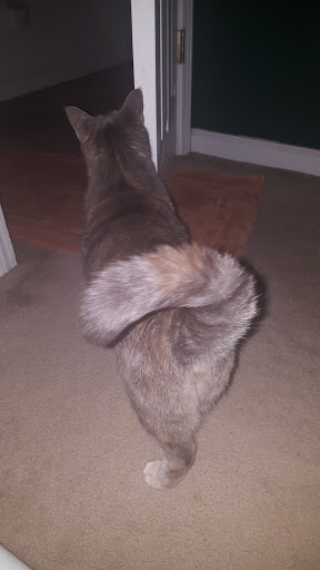 Hair Salon «Turning Heads - Roswell Hair Salon», reviews and photos, 1480 Woodstock Rd, Roswell, GA 30075, USA