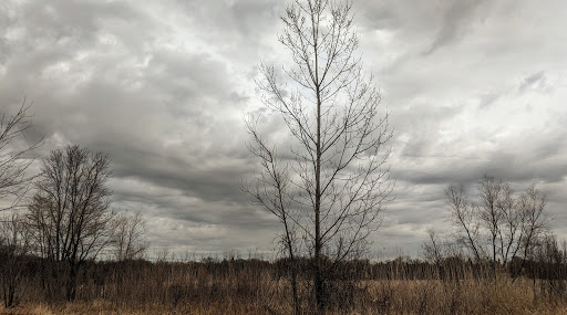 Nature Preserve «Nippersink Forest Preserve», reviews and photos, 900 W Belvidere Rd, Round Lake, IL 60073, USA