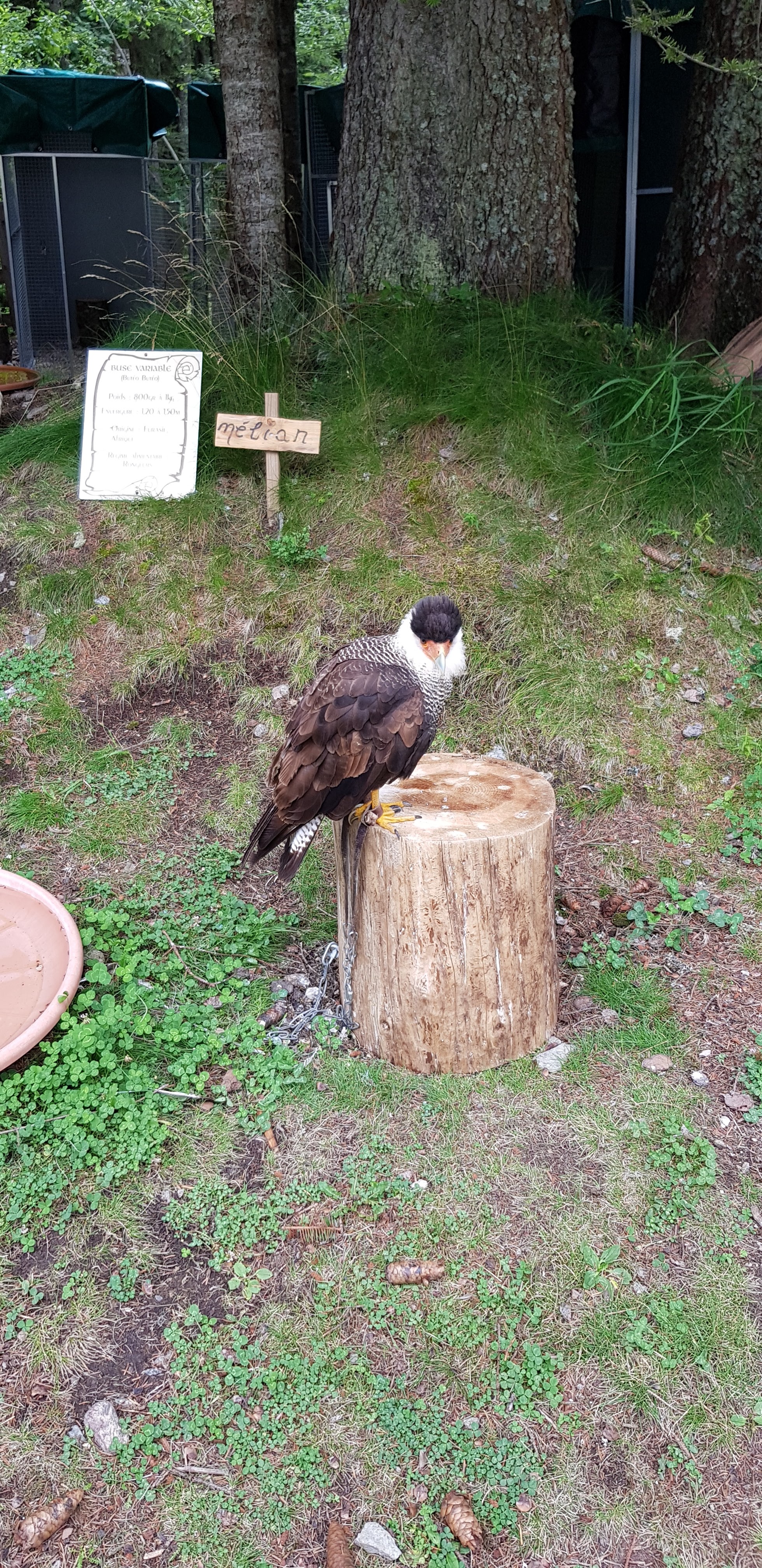 Photo n° 1 de l'avis de Valentin.a fait le 06/01/2019 à 16:28