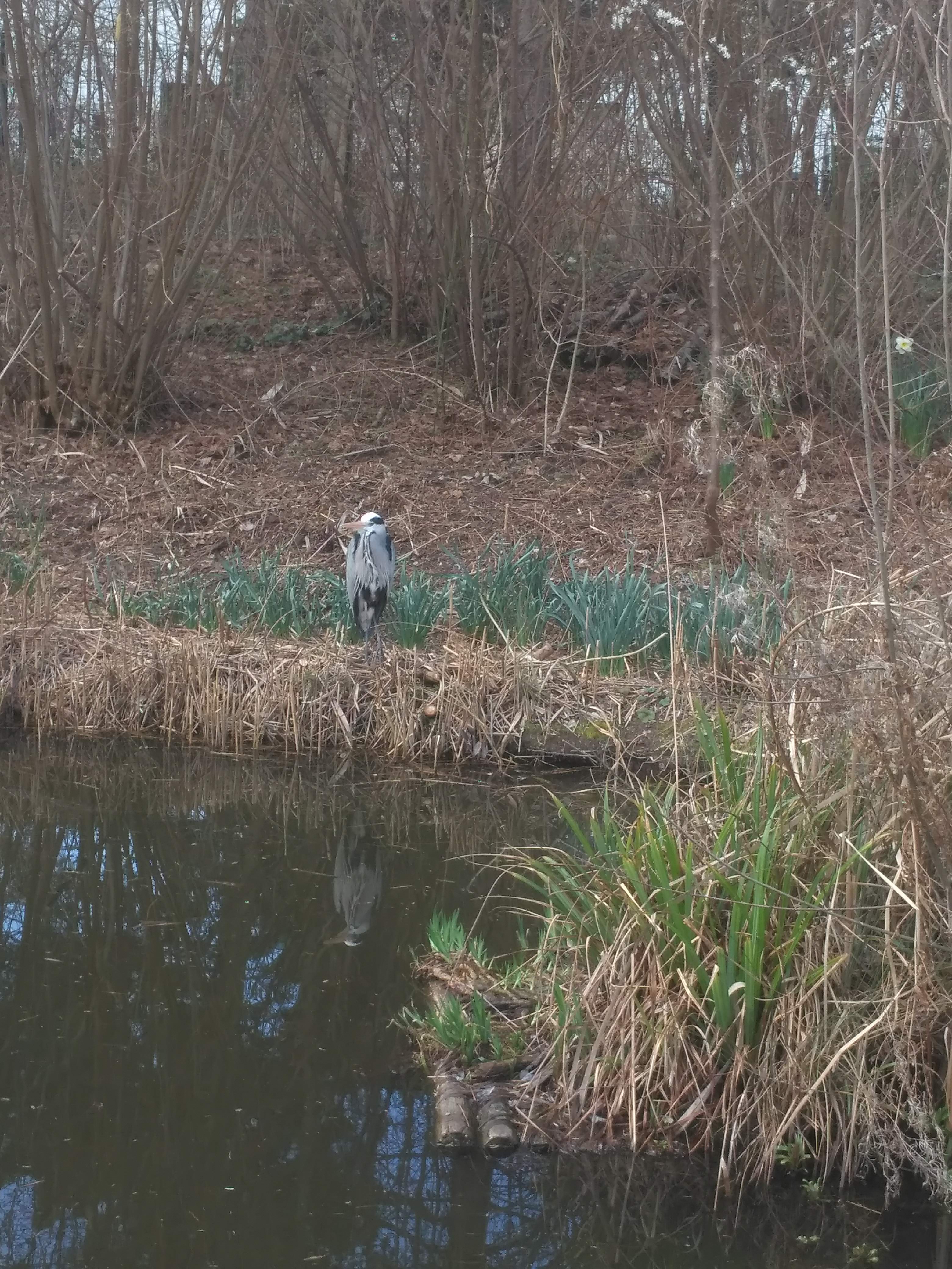 Photo n° 3 de l'avis de L'ami.a fait le 03/12/2018 à 18:33