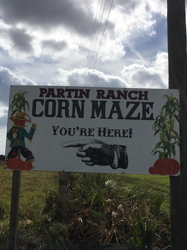 Tourist Attraction «Partin Ranch Corn Maze», reviews and photos, 5601 N Canoe Creek Rd, Kenansville, FL 34739, USA